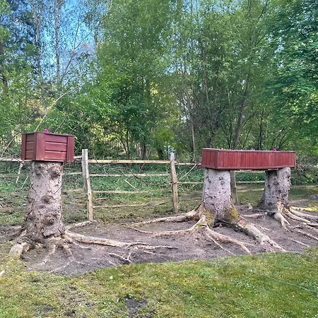 U Gosi I Piotra Lubin (Lubuskie)