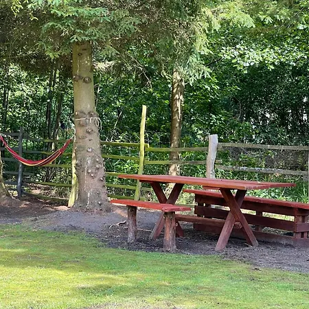 Lodge U Gosi I Piotra Lubin (Lubuskie)