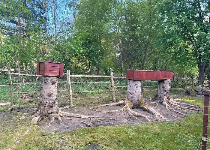 U Gosi I Piotra Lubin (Lubuskie)